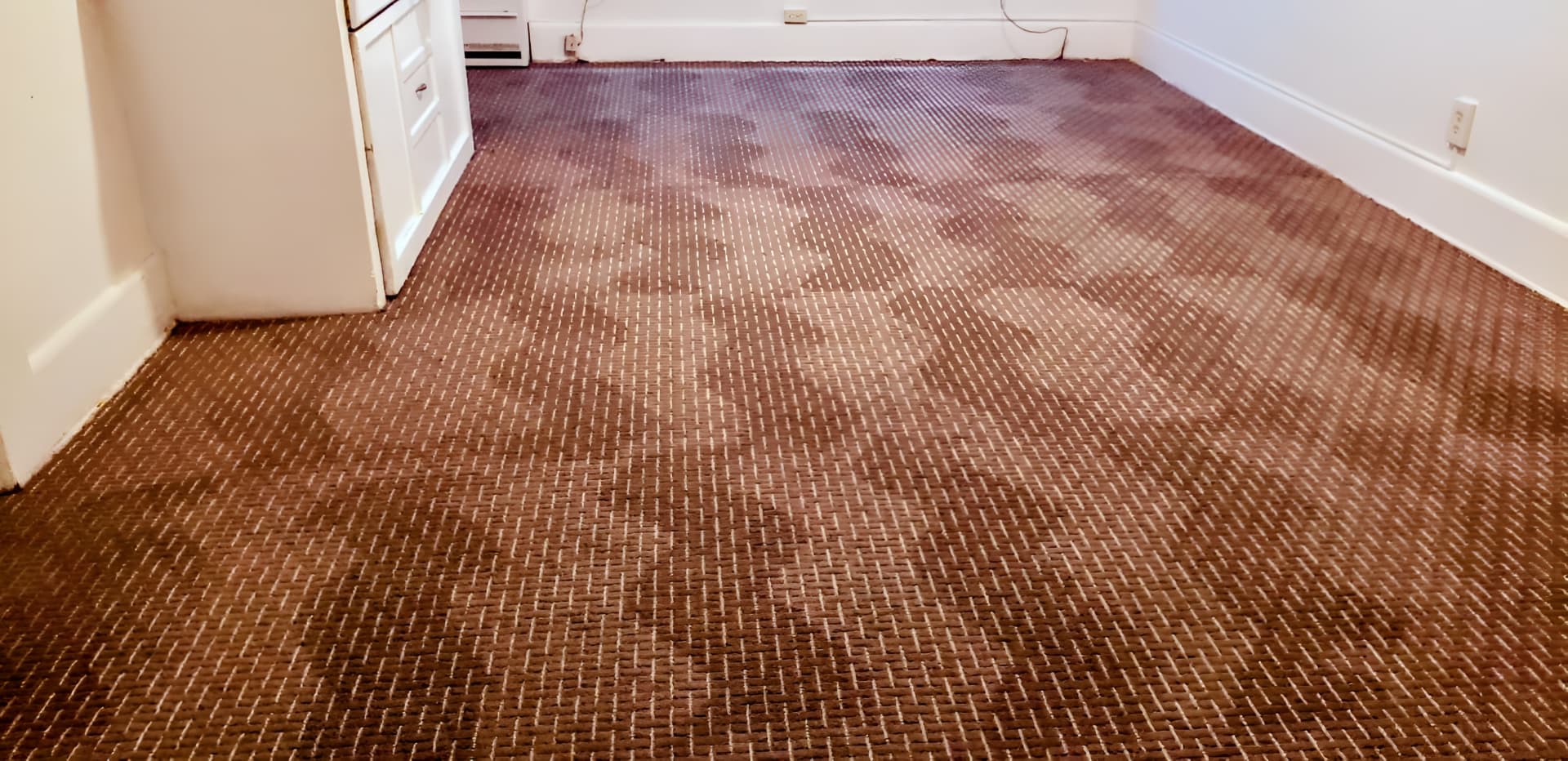 Commercial carpet after hot water extraction steam cleaning